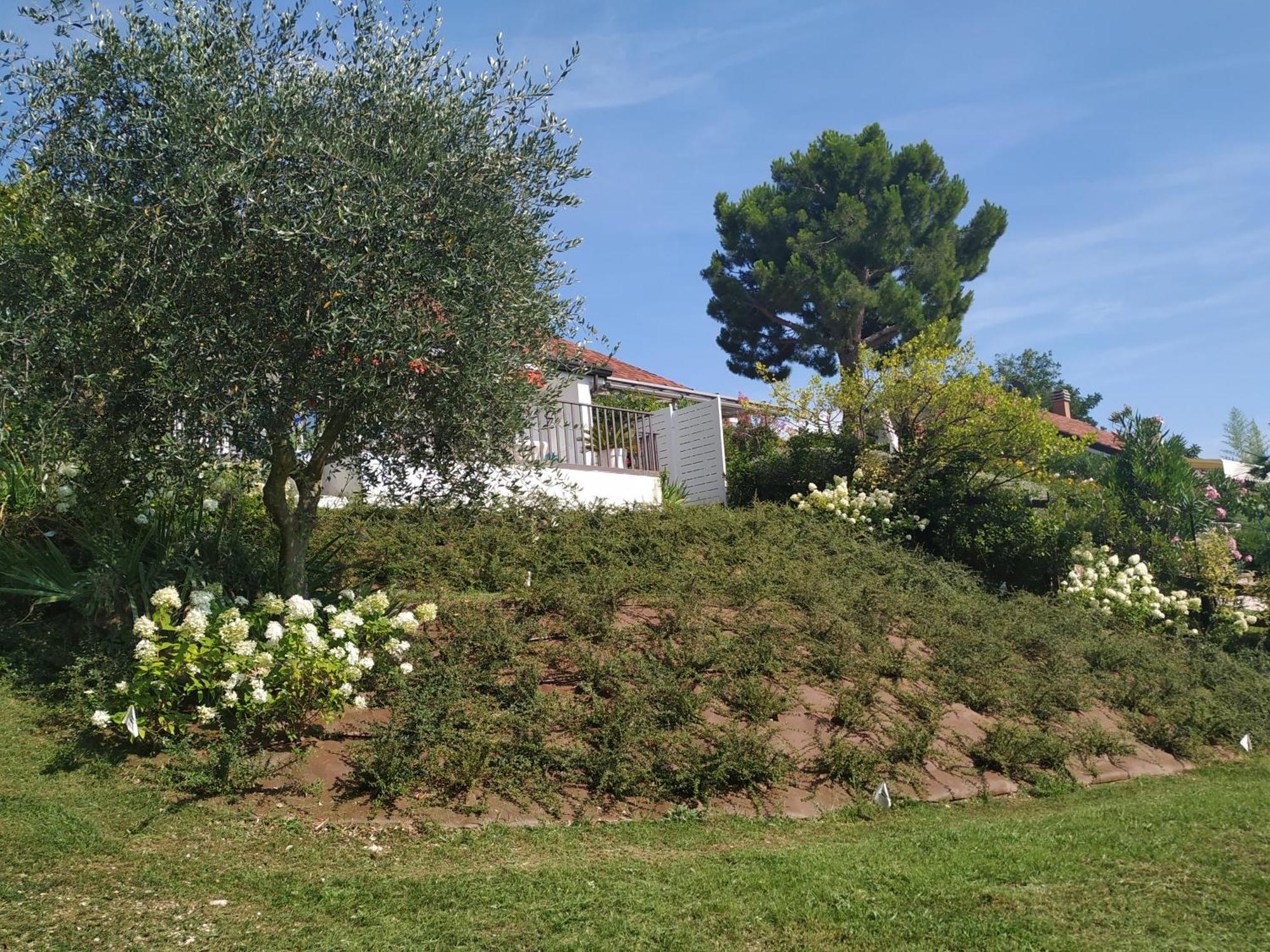 Willa Casa Fellini San Zeno di Montagna Zewnętrze zdjęcie