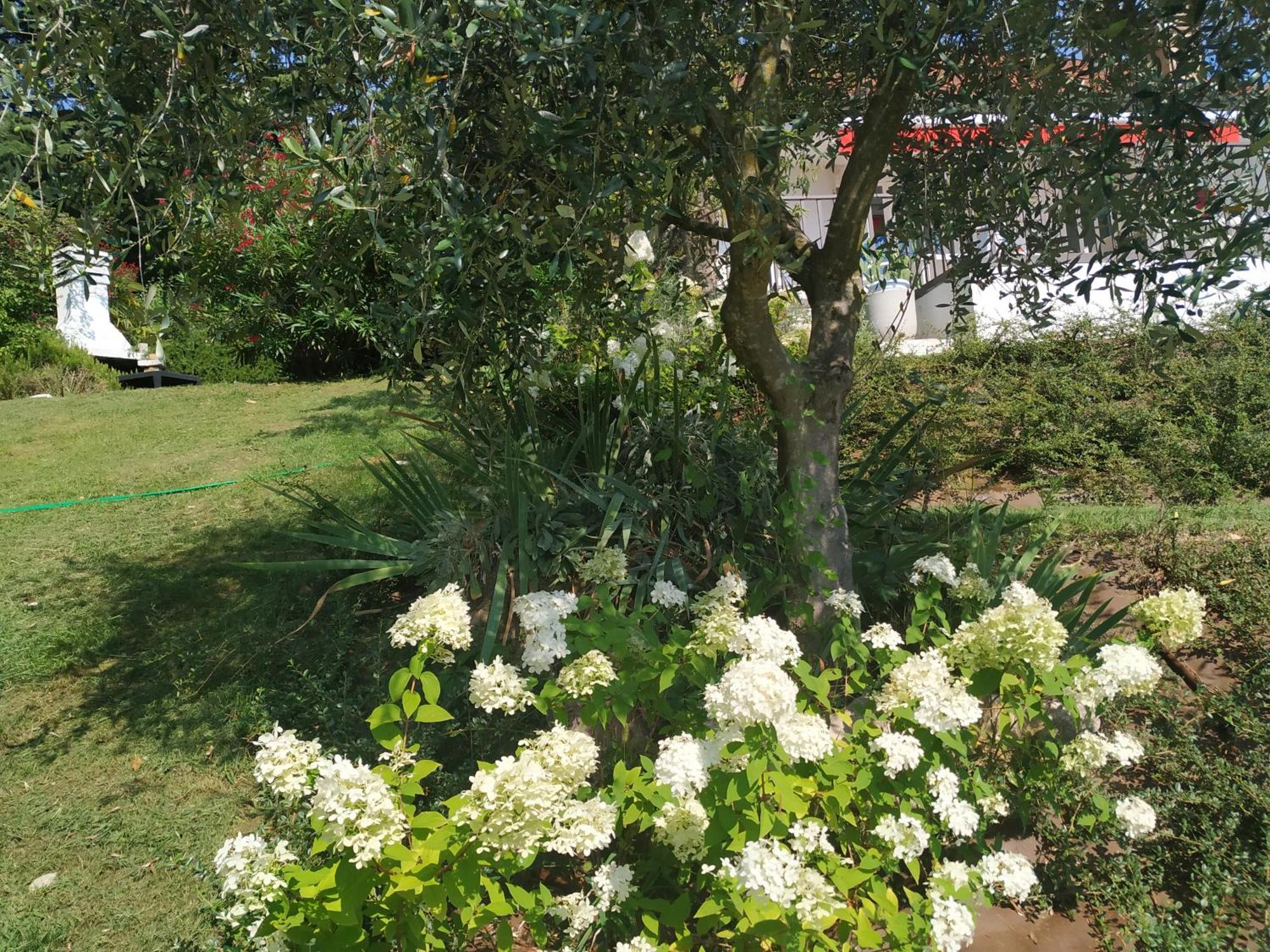 Willa Casa Fellini San Zeno di Montagna Zewnętrze zdjęcie